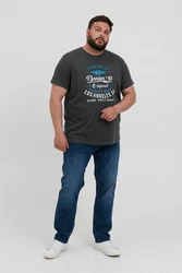 Blend T-Shirt BLEND BHBDoppler Grau/Dunkelgrau/Dunkelgrün/Lila