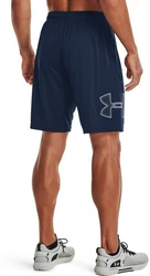 Under Armour Shorts UA Tech Graphic Shorts Dunkelblau/Blau