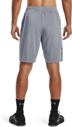 Under Armour Shorts UA Tech Graphic Shorts Grau/Hellgrau/Dunkelblau