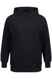 Sweatshirt Hoodie Kapuzensweater mit integriertem Stehkragen