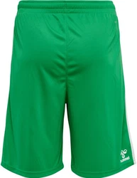 hummel Shorts 