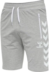 hummel Shorts Grau/Silber
