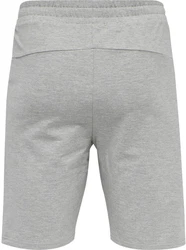 hummel Shorts Grau/Silber