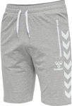 hummel Shorts Grau/Silber