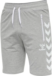 hummel Shorts Grau/Silber