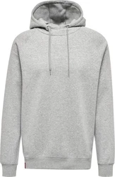 hummel Kapuzenpullover Grau/Hellgrau