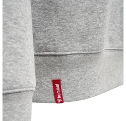 hummel Kapuzenpullover Grau/Hellgrau