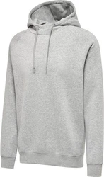 hummel Kapuzenpullover Grau/Hellgrau
