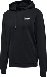 Kapuzenpullover