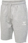 hummel Shorts Beige/Grau