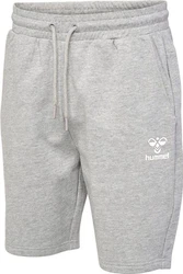 hummel Shorts Beige/Grau