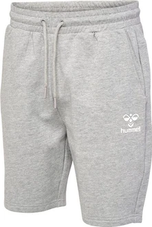 hummel Shorts Beige/Grau