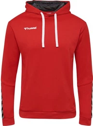 Kapuzenpullover