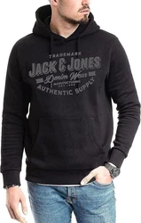 Jack & Jones Kapuzensweatshirt Hoodie mit Printdruck Grau/Dunkelgrau/Silber/Hellgrau
