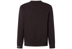 Pepe Jeans Sweatshirt ANDRE CREW NECK Braun/Dunkelbraun/Dunkelrot/Bordeaux