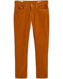 Cordhose Cordhose