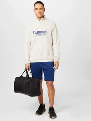 Hummel Sweatshirt Ron beige/navy