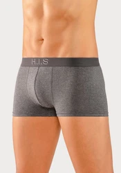H.I.S Hipster Boxershorts am Webbund mit Logoschriftzug 