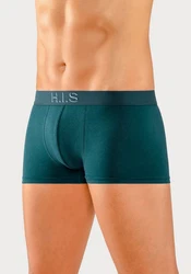 H.I.S Hipster Boxershorts am Webbund mit Logoschriftzug 