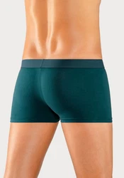 H.I.S Hipster Boxershorts am Webbund mit Logoschriftzug 