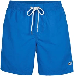 Badeshorts VERT SWIM SHORTS ESSENTIALS