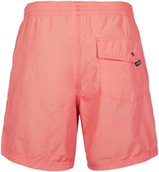 O'Neill Badeshorts VERT SWIM SHORTS 