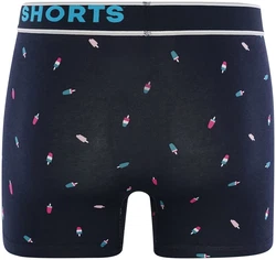 HAPPY SHORTS Retro Pants Trunks 