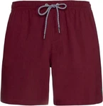 Protest Badehose DAVEY Beachshort 