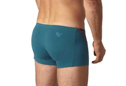 EIN SCHNER FLECK ERDE Boxer Herren 