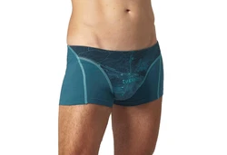 EIN SCHNER FLECK ERDE Boxer Herren 