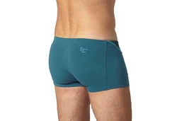 EIN SCHNER FLECK ERDE Boxer Herren 