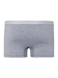 Hanro Retro Pants Cotton Essentials (2-St) Grau