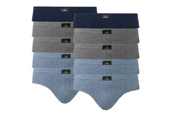 GTZBURG Slip Brief mit Logo am Bund Dunkelblau/Grau/Blau/Hellblau
