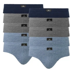 GTZBURG Slip Brief mit Logo am Bund Dunkelblau/Grau/Blau/Hellblau