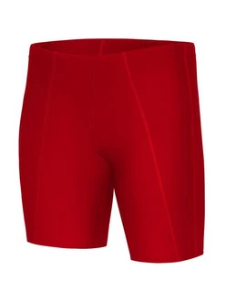 Ladeheid Badeshorts Herren (LA40-206) Ladeheid Badeshorts Herren (LA40-206)