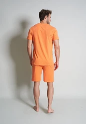 TOM TAILOR Herren Shorty rot