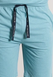 TOM TAILOR Herren Shorty grün