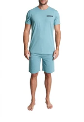 TOM TAILOR Herren Shorty grün