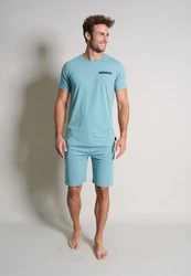 TOM TAILOR Herren Shorty grün