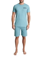 TOM TAILOR Herren Shorty grün