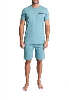 TOM TAILOR Herren Shorty
