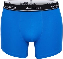 Phil & Co. Retro Pants All Styles Boxershorts Trunks Herren Blau/Dunkelblau/Grau