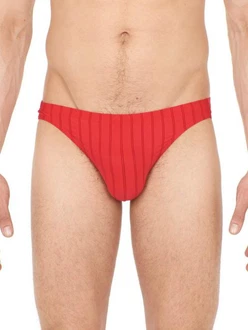 Hom Slip Comfort Micro Briefs Chic 
