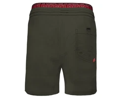 Diesel Badeshorts BMBX-DOLPHIN Herren 