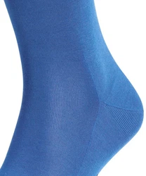 FALKE Socken Tiago Blau