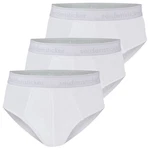Seidensticker Slip Cotton Flex (3er Pack) Creme/Weiß/Grau/Hellgrün