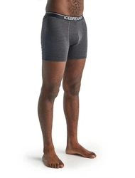 Icebreaker Boxershorts Anatomica Dunkelgrau/Schwarz/Grau/Dunkelblau