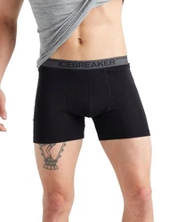 Icebreaker Boxershorts Anatomica schwarz (010)