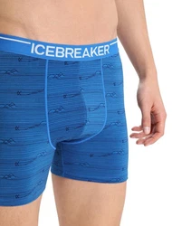 Icebreaker Boxershorts Anatomica 