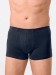 Witt Formpants Pants Dunkelblau/Blau/Hellblau